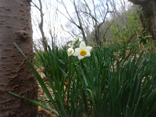 ���̎ʐ^���N���b�N����Ɗg�債�܂�